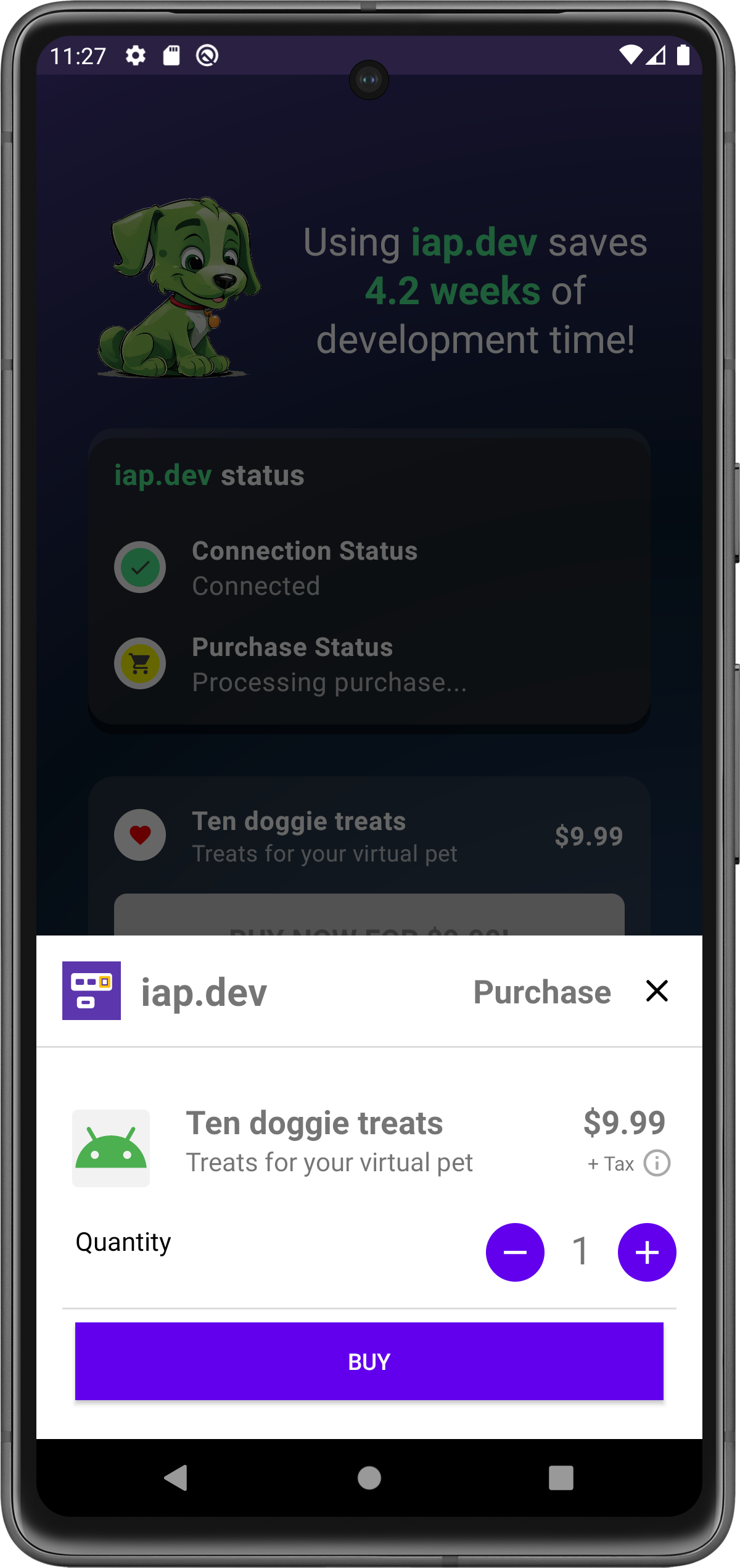In-App Purchase Screen